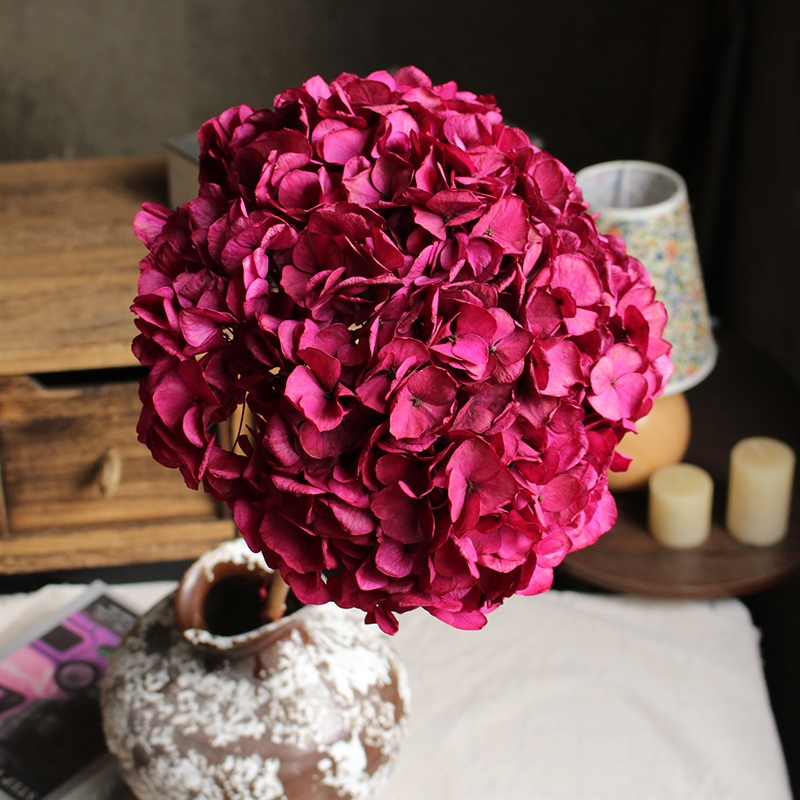 Premium Preserved Large-Leaf Hydrangea