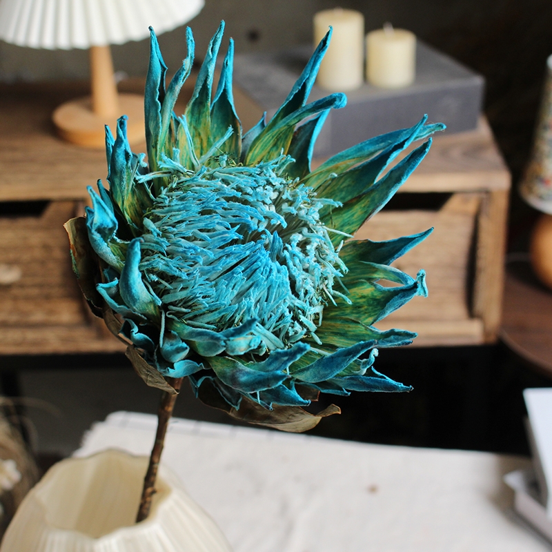 Preserved Protea Cynaroides - Premium Dried King Protea Flowers - Image 2