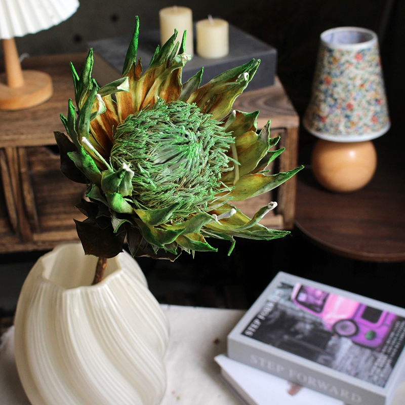 Preserved Protea Cynaroides - Premium Dried King Protea Flowers - Image 6