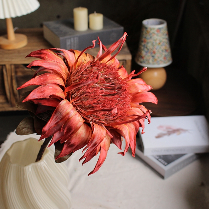 Preserved Protea Cynaroides - Premium Dried King Protea Flowers - Image 9