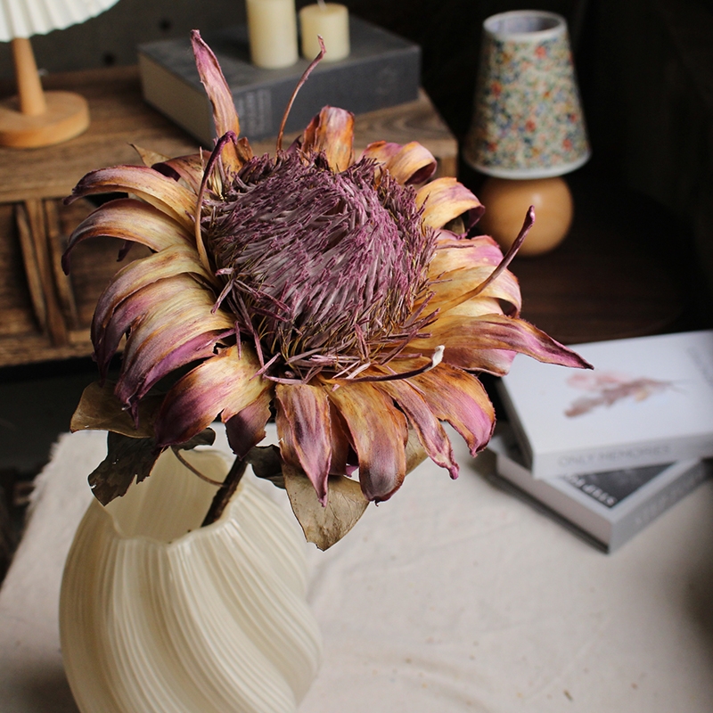Preserved Protea Cynaroides - Premium Dried King Protea Flowers - Image 10