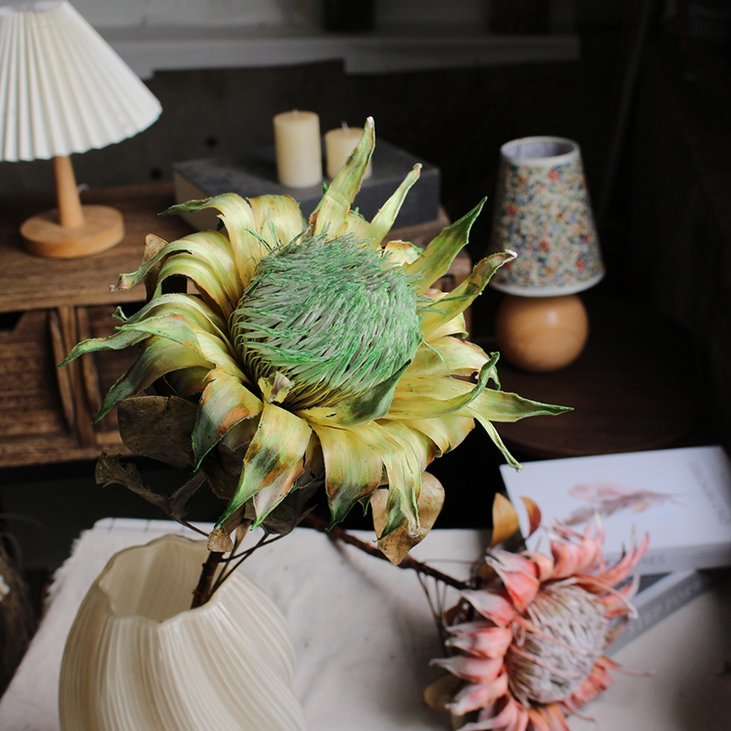 Preserved Protea Cynaroides - Premium Dried King Protea Flowers - Image 11