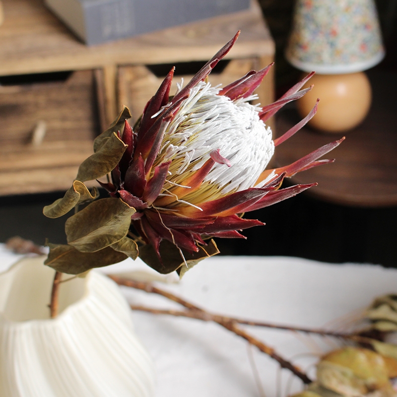 Preserved Protea Cynaroides - Premium Dried King Protea Flowers - Image 15