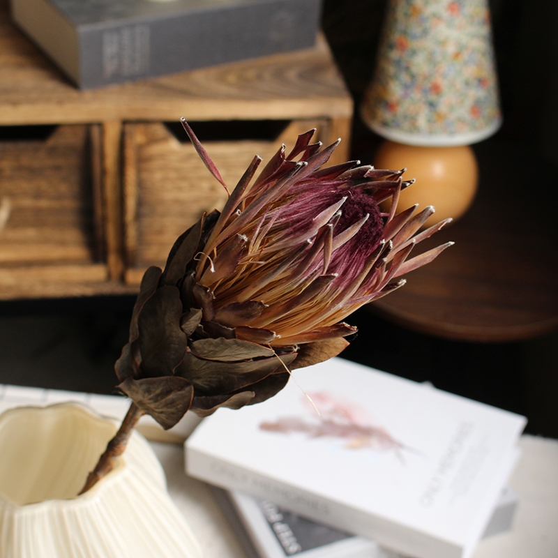 Preserved Protea Cynaroides - Premium Dried King Protea Flowers - Image 17