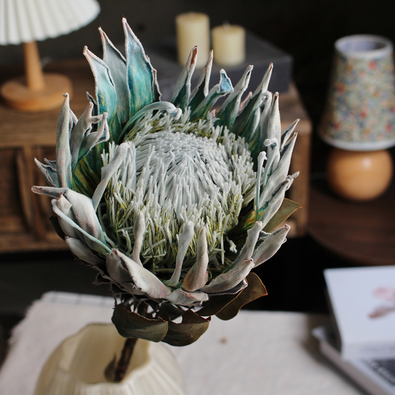 Preserved Protea Cynaroides - Premium Dried King Protea Flowers - Image 22