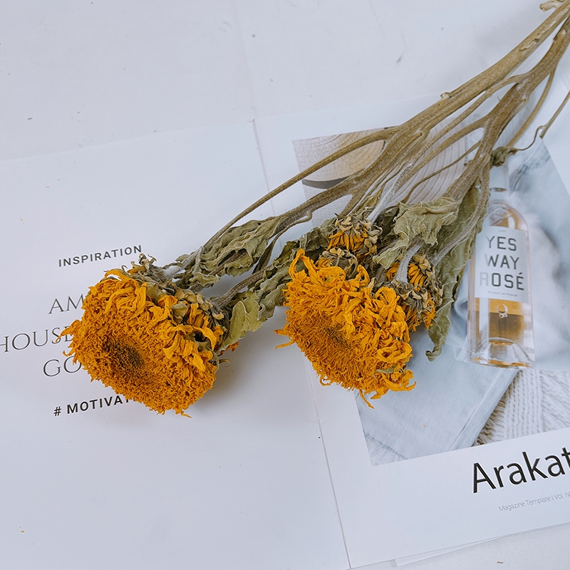 Dried Sunflower Flowers - Natural Air-Dried Preserved Sunflowers - Image 2