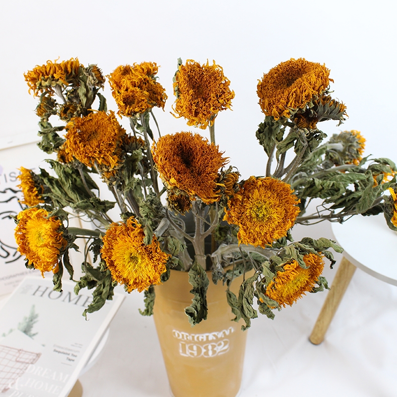 Dried Sunflower Flowers - Natural Air-Dried Preserved Sunflowers - Image 3
