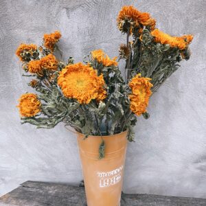 Dried Sunflower Flowers - Natural Air-Dried Preserved Sunflowers