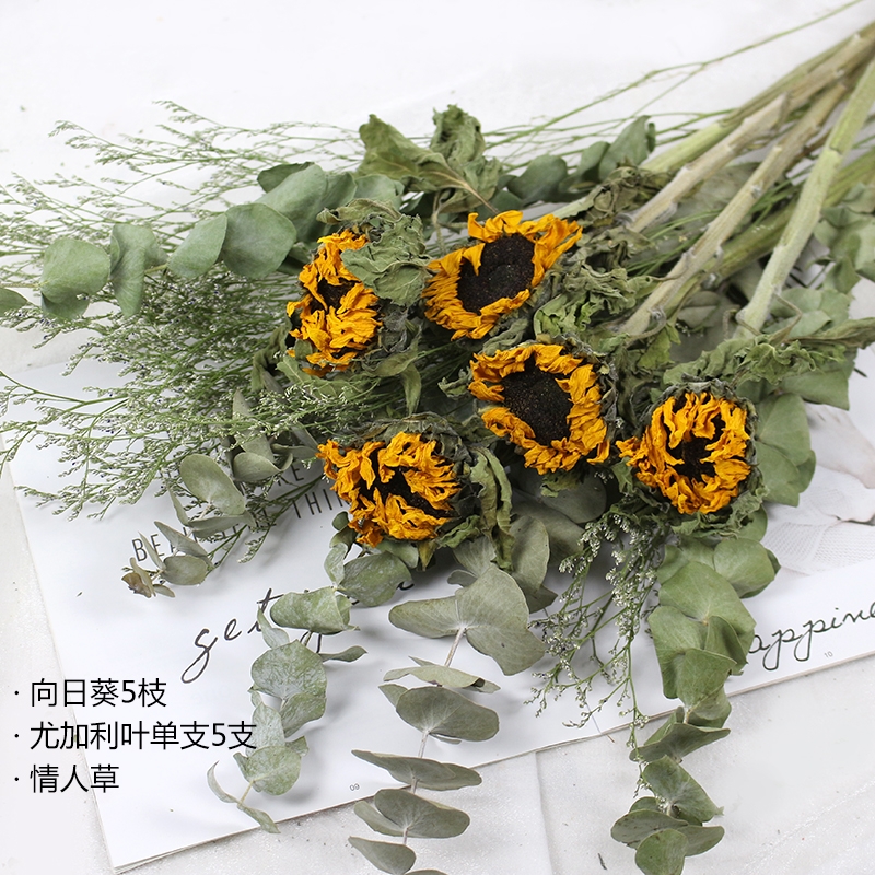 Dried Sunflower Flowers - Natural Air-Dried Preserved Sunflowers - Image 9