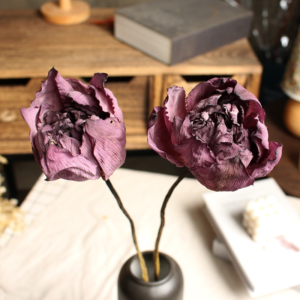 Natural Dried Lotus Flowers & Seed Pods - Eternal Home Decor