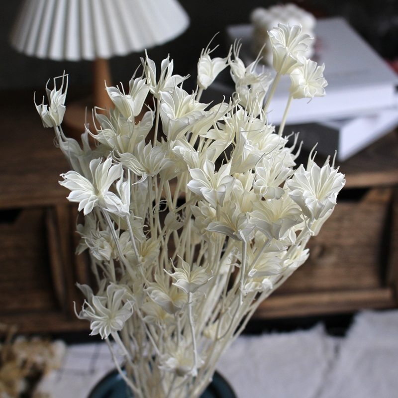 Dried Star Flower Bouquet - Preserved Octagon Flowers for Home Decor - Image 2