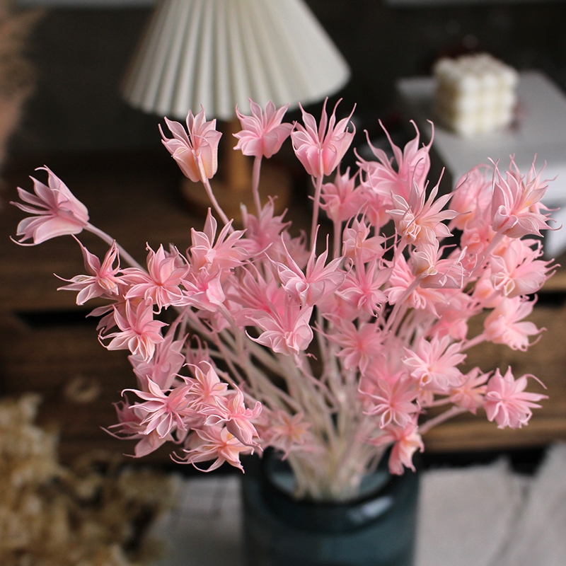 Dried Star Flower Bouquet - Preserved Octagon Flowers for Home Decor - Image 3