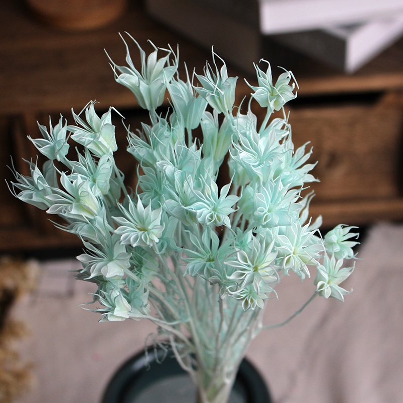 Dried Star Flower Bouquet - Preserved Octagon Flowers for Home Decor - Image 4