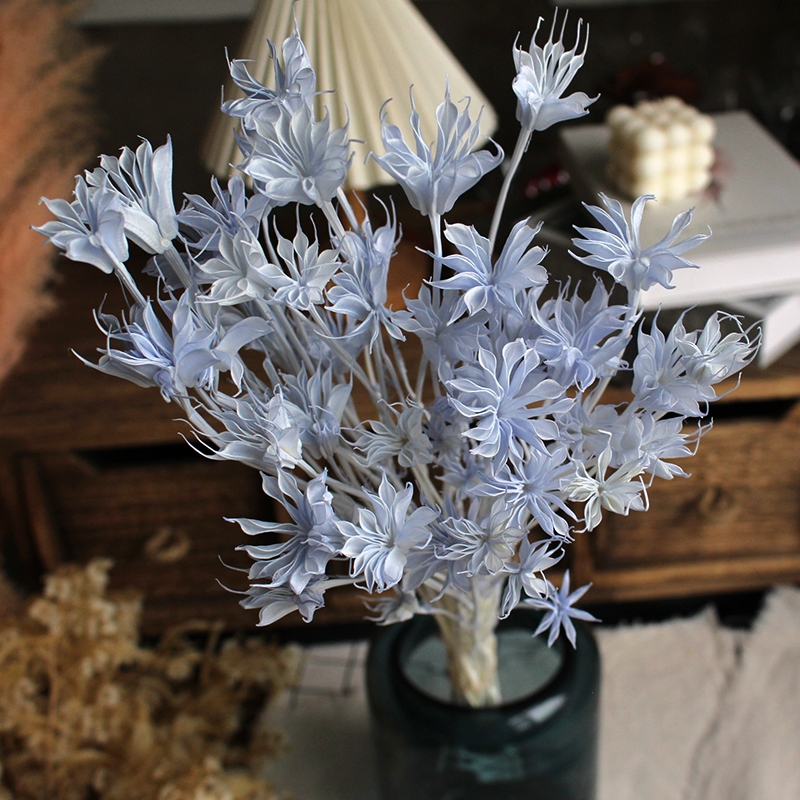 Dried Star Flower Bouquet - Preserved Octagon Flowers for Home Decor - Image 5