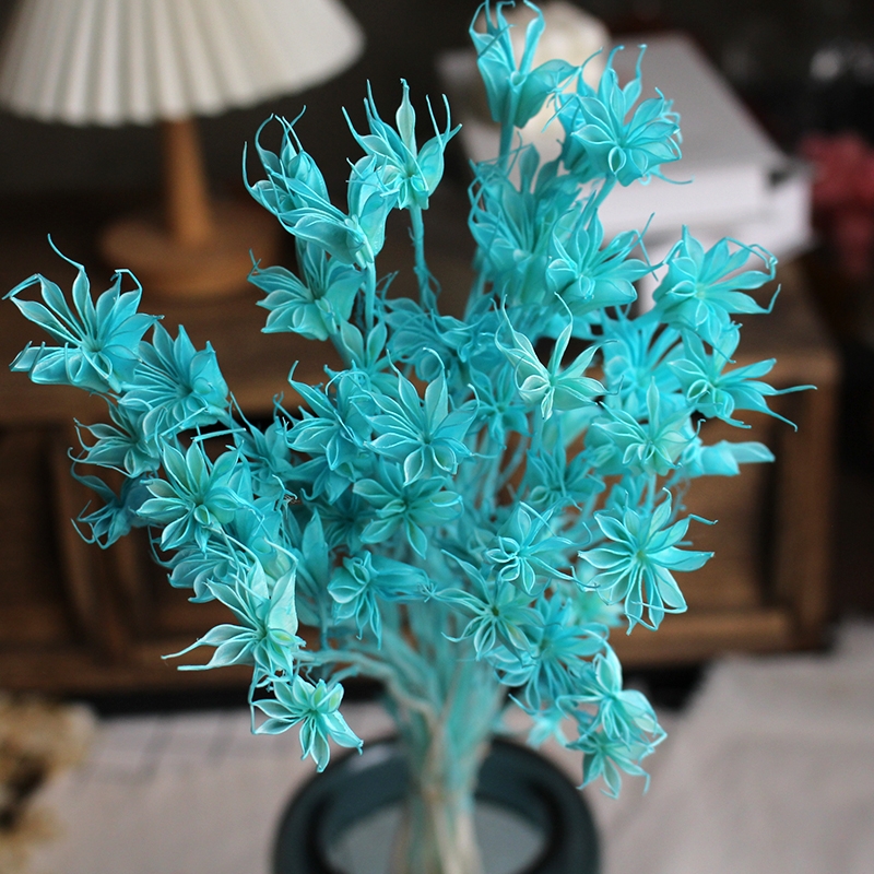Dried Star Flower Bouquet - Preserved Octagon Flowers for Home Decor - Image 6