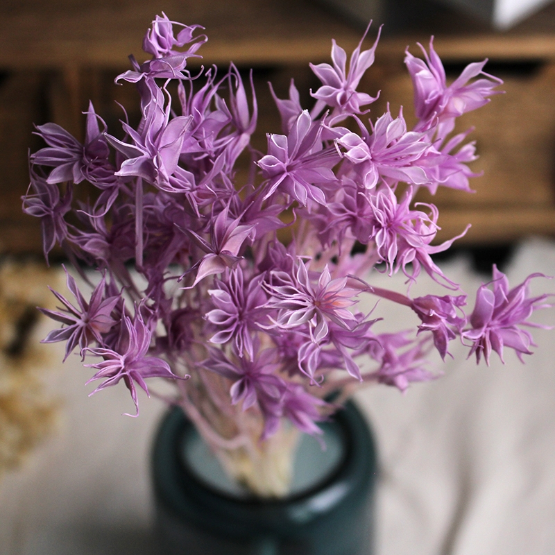 Dried Star Flower Bouquet - Preserved Octagon Flowers for Home Decor - Image 7