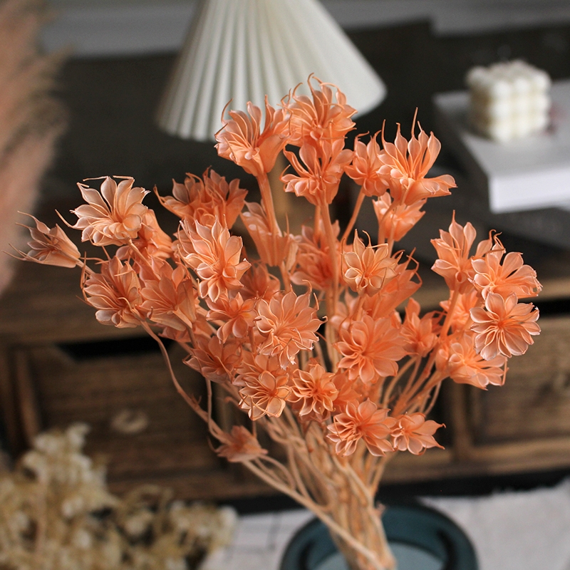 Dried Star Flower Bouquet - Preserved Octagon Flowers for Home Decor - Image 8