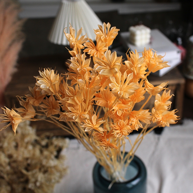 Dried Star Flower Bouquet - Preserved Octagon Flowers for Home Decor - Image 9