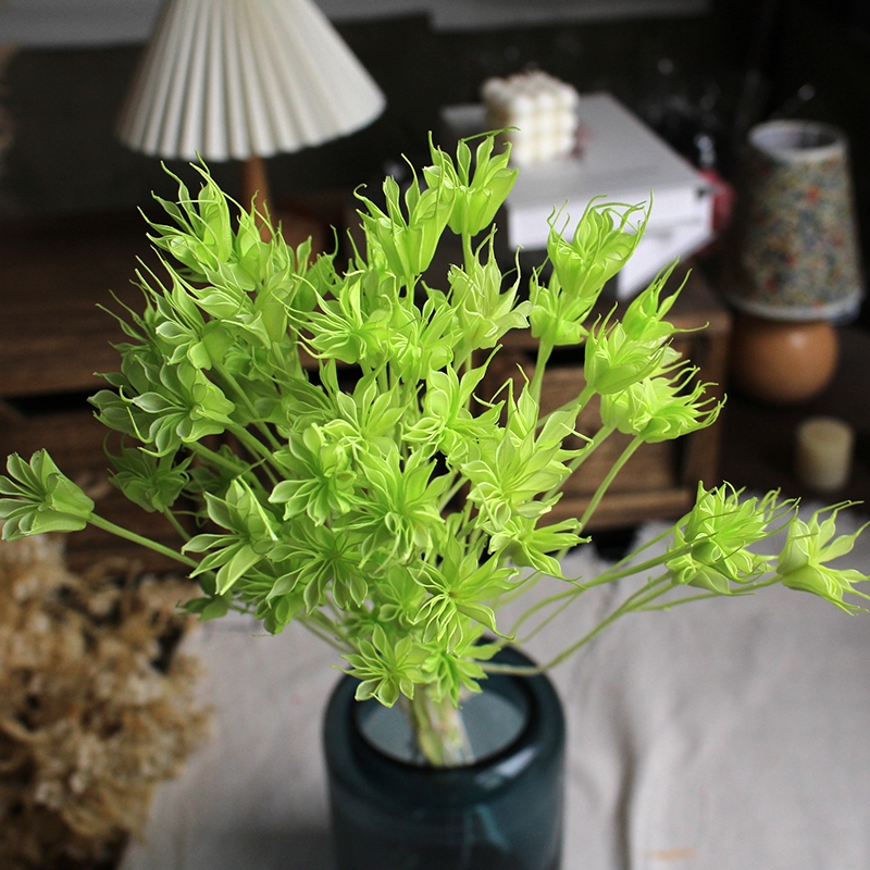 Dried Star Flower Bouquet - Preserved Octagon Flowers for Home Decor - Image 10