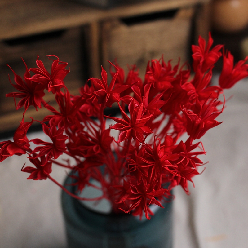 Dried Star Flower Bouquet - Preserved Octagon Flowers for Home Decor - Image 11