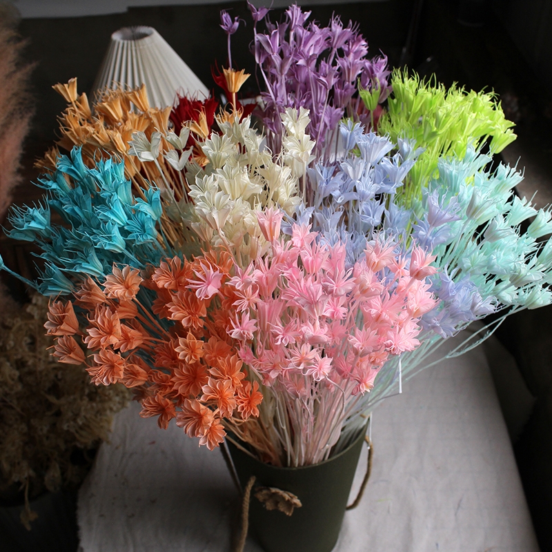 Dried Star Flower Bouquet - Preserved Octagon Flowers for Home Decor - Image 12