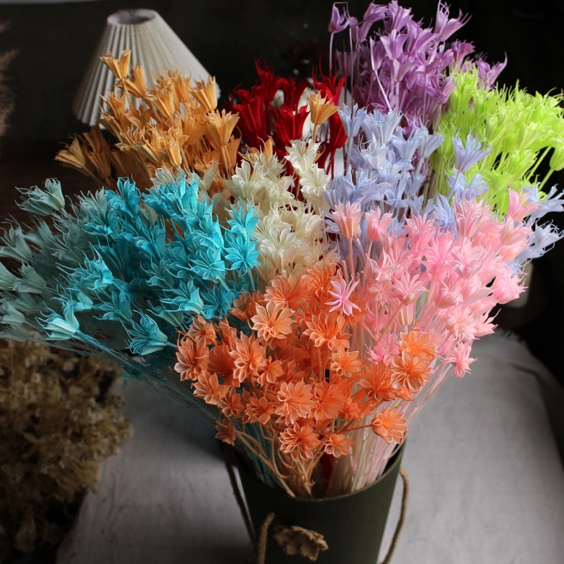 Dried Star Flower Bouquet - Preserved Octagon Flowers for Home Decor - Image 14