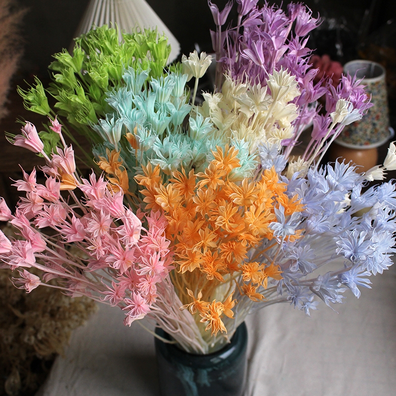 Dried Star Flower Bouquet - Preserved Octagon Flowers for Home Decor - Image 15