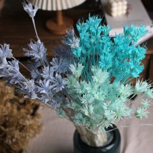 Dried Star Flower Bouquet - Preserved Octagon Flowers for Home Decor