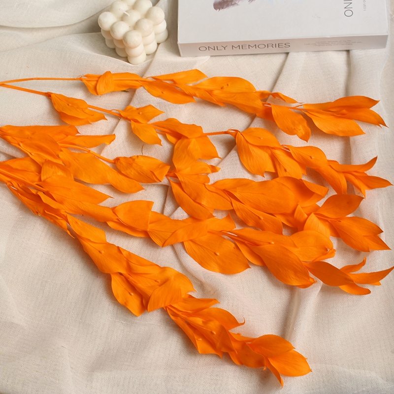 Preserved Orange Leaves - Natural Everlasting Foliage for Your Creations - Image 4