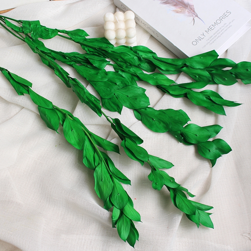 Preserved Orange Leaves - Natural Everlasting Foliage for Your Creations - Image 7