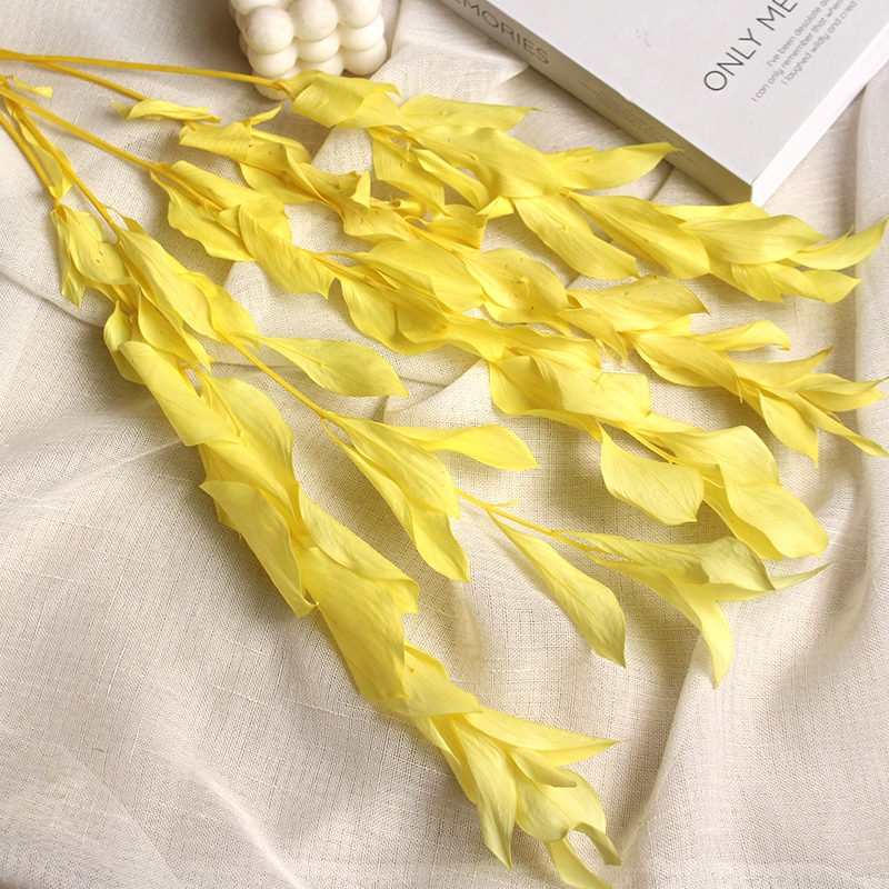Preserved Orange Leaves - Natural Everlasting Foliage for Your Creations - Image 8
