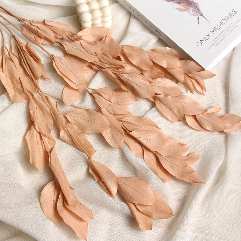Preserved Orange Leaves - Natural Everlasting Foliage for Your Creations - Image 9