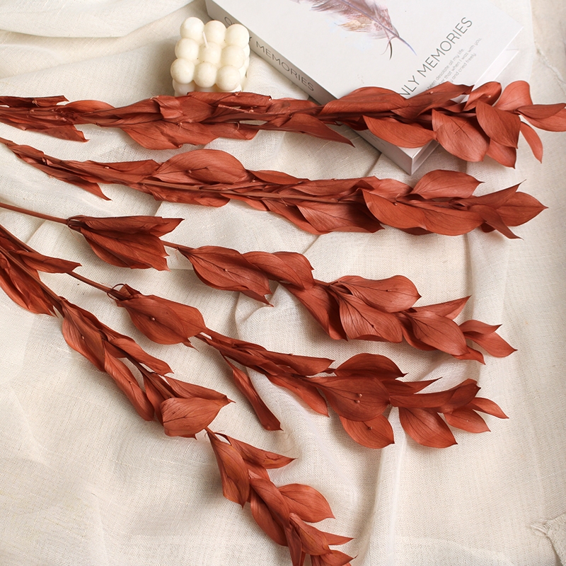 Preserved Orange Leaves - Natural Everlasting Foliage for Your Creations - Image 10