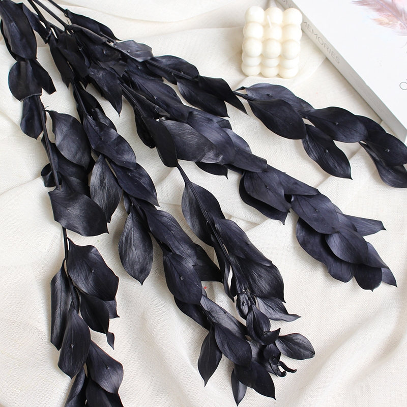 Preserved Orange Leaves - Natural Everlasting Foliage for Your Creations - Image 11
