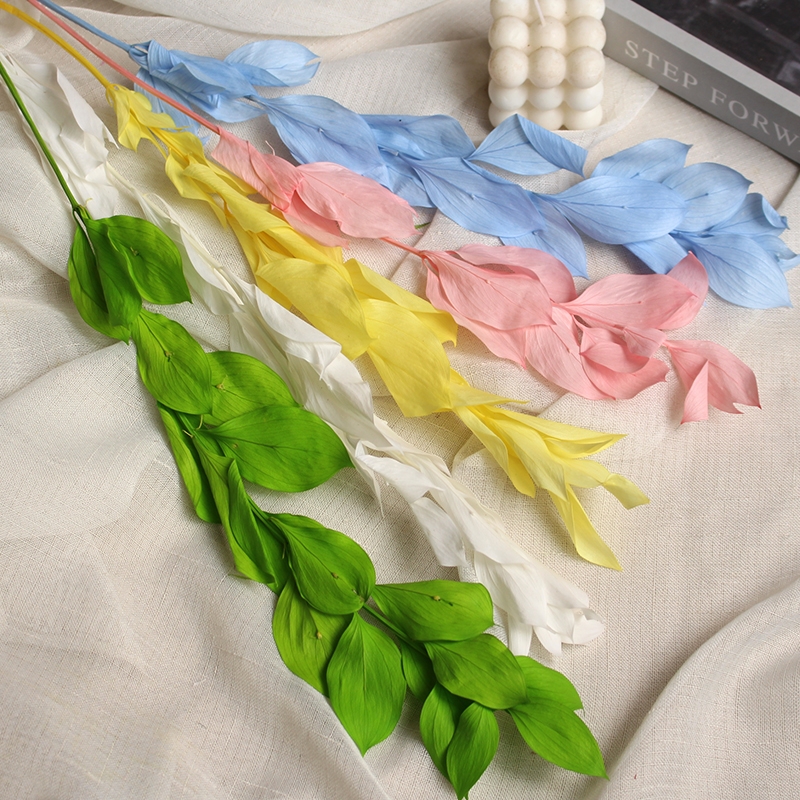 Preserved Orange Leaves - Natural Everlasting Foliage for Your Creations