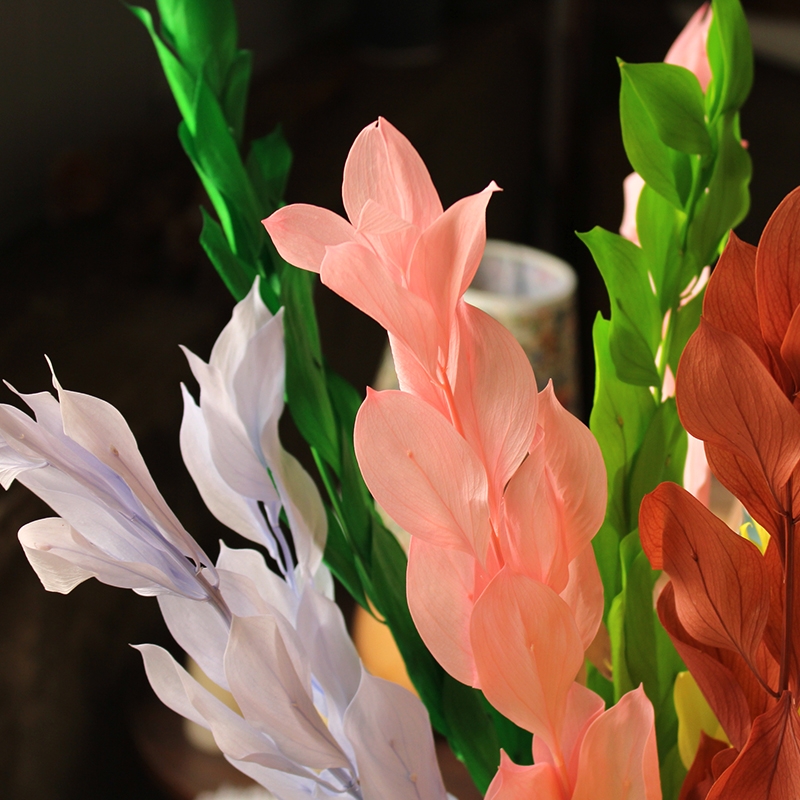 Preserved Orange Leaves - Natural Everlasting Foliage for Your Creations - Image 16