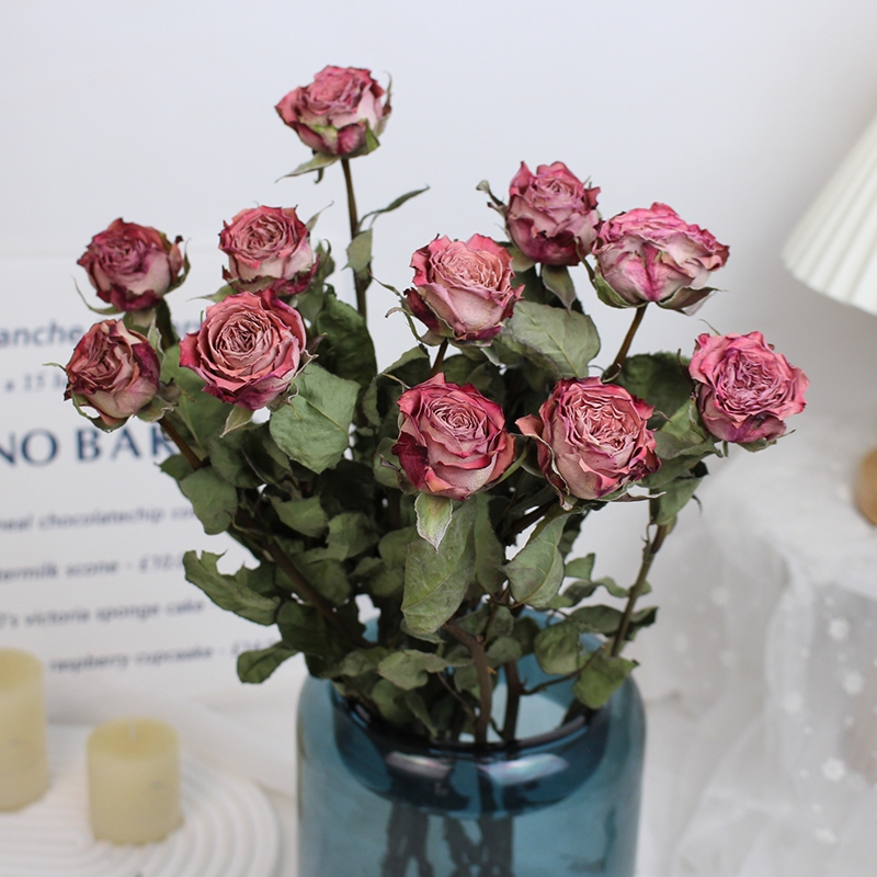 Natural Dried Rose Flowers - Preserved Real Roses for Home & Wedding Decor - Image 13