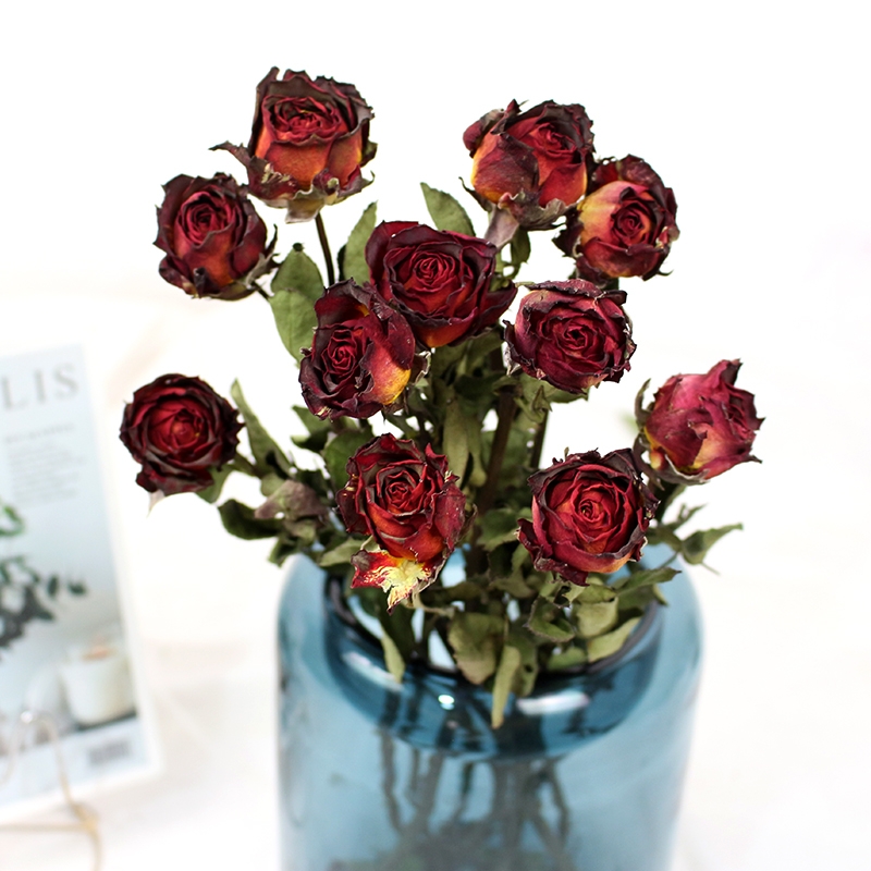 Natural Dried Rose Flowers - Preserved Real Roses for Home & Wedding Decor - Image 12
