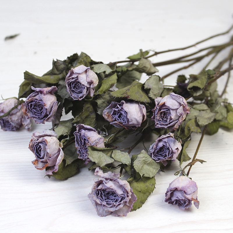 Natural Dried Rose Flowers - Preserved Real Roses for Home & Wedding Decor - Image 5