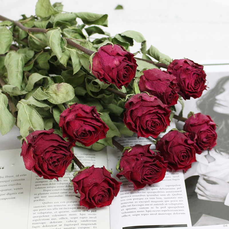 Natural Dried Rose Flowers - Preserved Real Roses for Home & Wedding Decor - Image 9