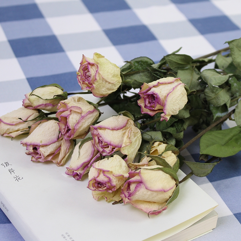 Natural Dried Rose Flowers - Preserved Real Roses for Home & Wedding Decor - Image 7