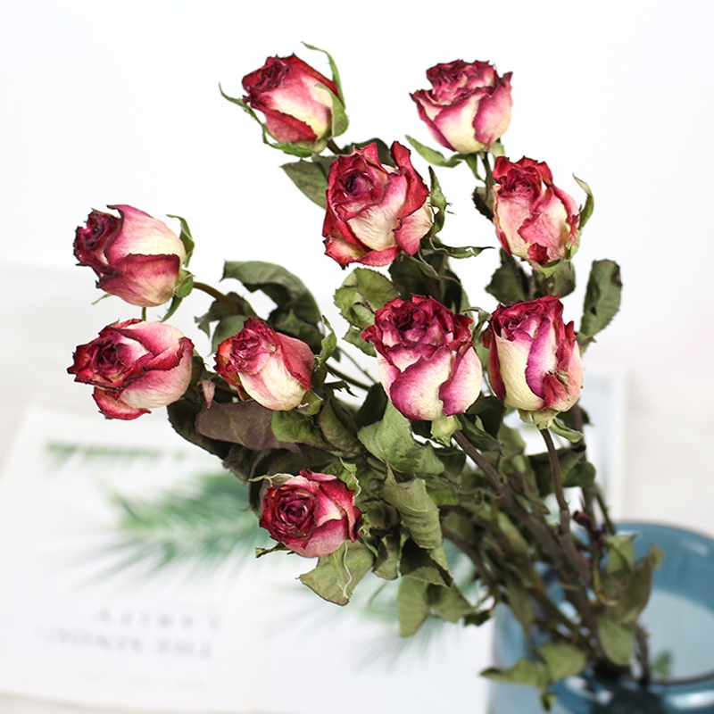 Natural Dried Rose Flowers - Preserved Real Roses for Home & Wedding Decor - Image 23