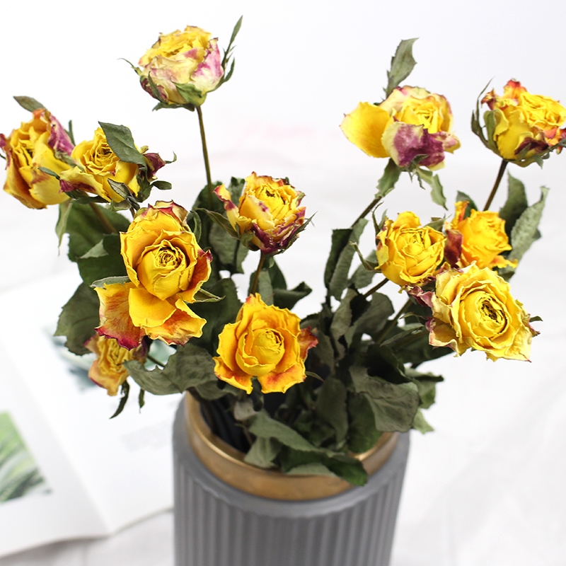 Natural Dried Rose Flowers - Preserved Real Roses for Home & Wedding Decor - Image 17