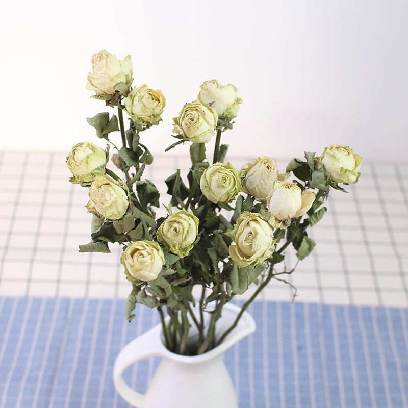 Natural Dried Rose Flowers - Preserved Real Roses for Home & Wedding Decor - Image 22
