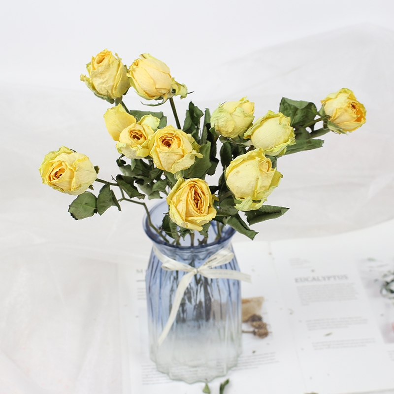 Natural Dried Rose Flowers - Preserved Real Roses for Home & Wedding Decor - Image 21