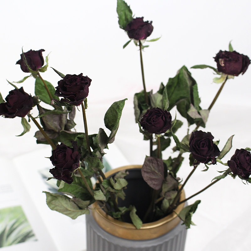 Natural Dried Rose Flowers - Preserved Real Roses for Home & Wedding Decor - Image 6