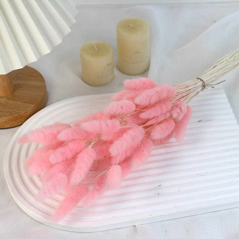 Natural Dried Bunny Tail Grass - Whimsical Decor for Every Occasion - Image 3