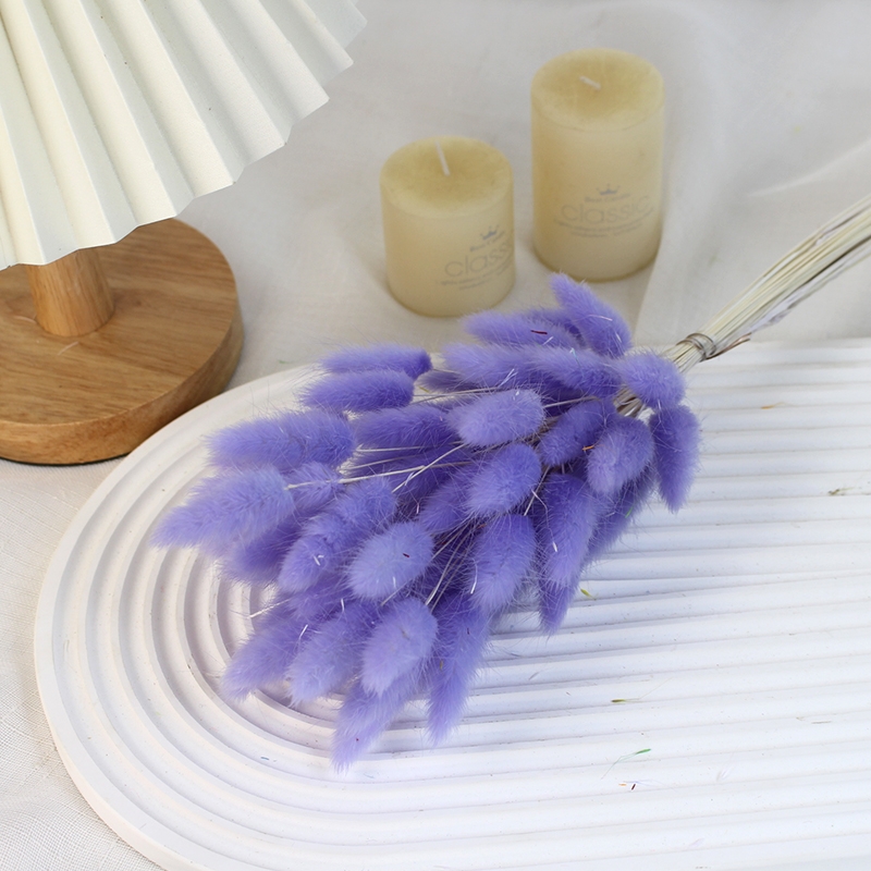 Natural Dried Bunny Tail Grass - Whimsical Decor for Every Occasion - Image 4