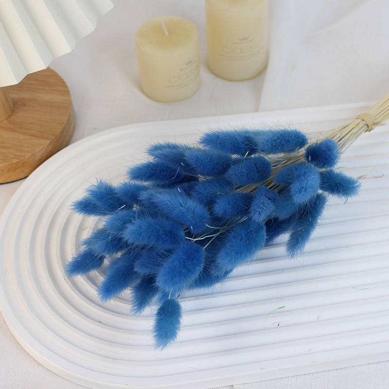 Natural Dried Bunny Tail Grass - Whimsical Decor for Every Occasion - Image 6
