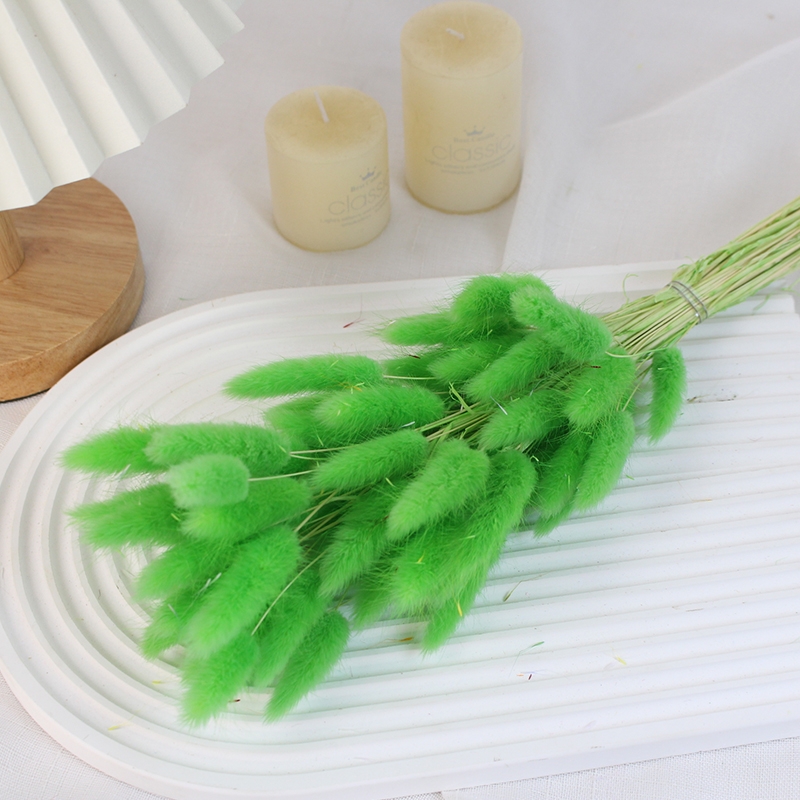 Natural Dried Bunny Tail Grass - Whimsical Decor for Every Occasion - Image 7